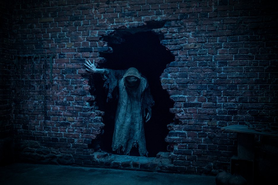 Hlasy mrtvých
(2024)_69145c220a759.jpeg