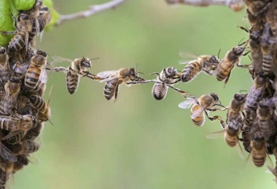 Všechno dobře dopadne
(2023)_6914cf8c2ff7d.jpeg